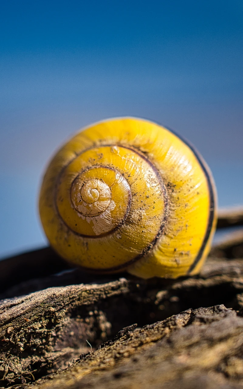 AI menulis ulang SEO B2B: Panduan strategis baru untuk visibilitas penelusuran