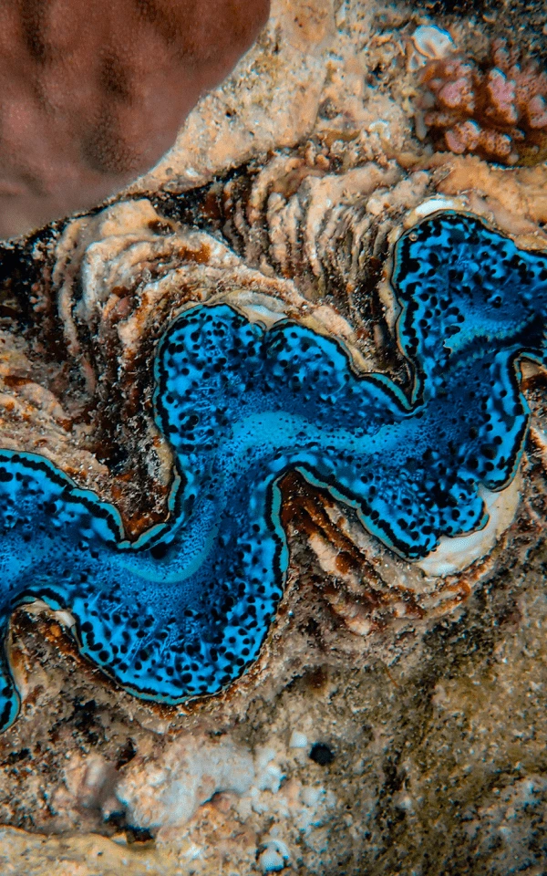 Panduan Anda untuk Menggunakan AI dalam Pemasaran Email