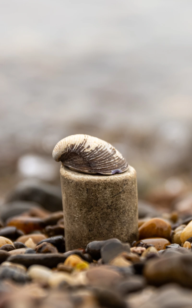 Optimasi Mesin Generatif (GEO): Konten Anda dipilih oleh AI