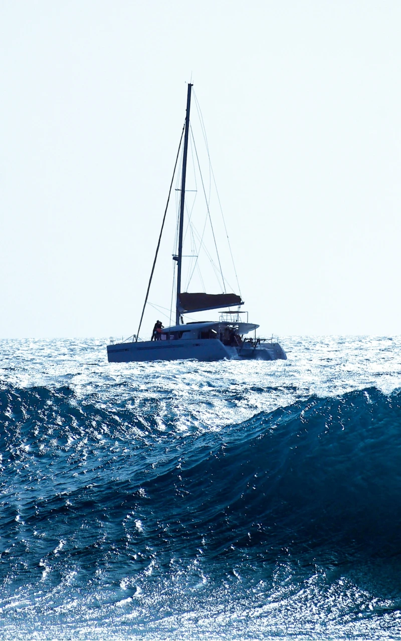 Paradoks AI yang Besar: Mengapa Adopsi yang Luas Tak Lagi Menghasilkan Nilai Strategis dalam Pemasaran B2B