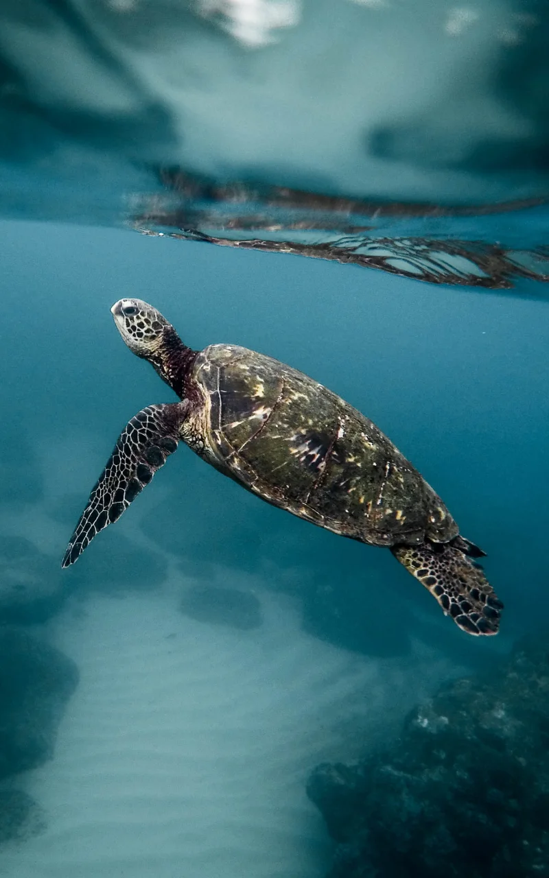 Pemasaran B2B pada 2026: apa yang sebenarnya berubah dan apa yang tidak